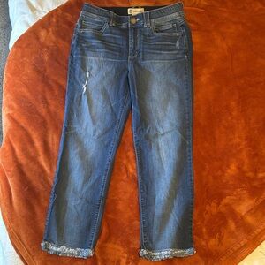 Democracy Blue Distressed Denim Jeans